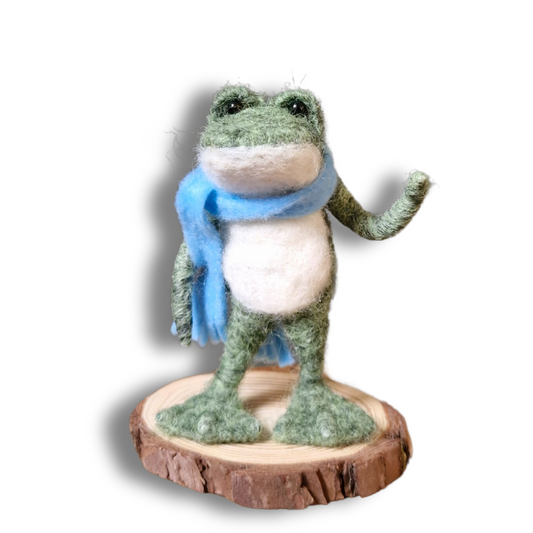 Needle felting kit for beginners Flop the frog