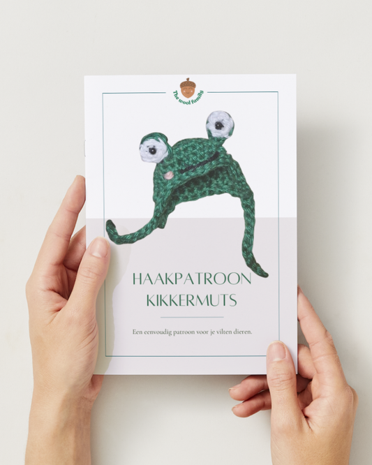 Pattern Crochet frog hat