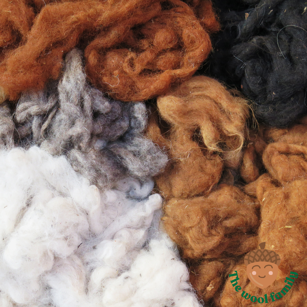 The Wool Family: needle felting made easy – The wool family
