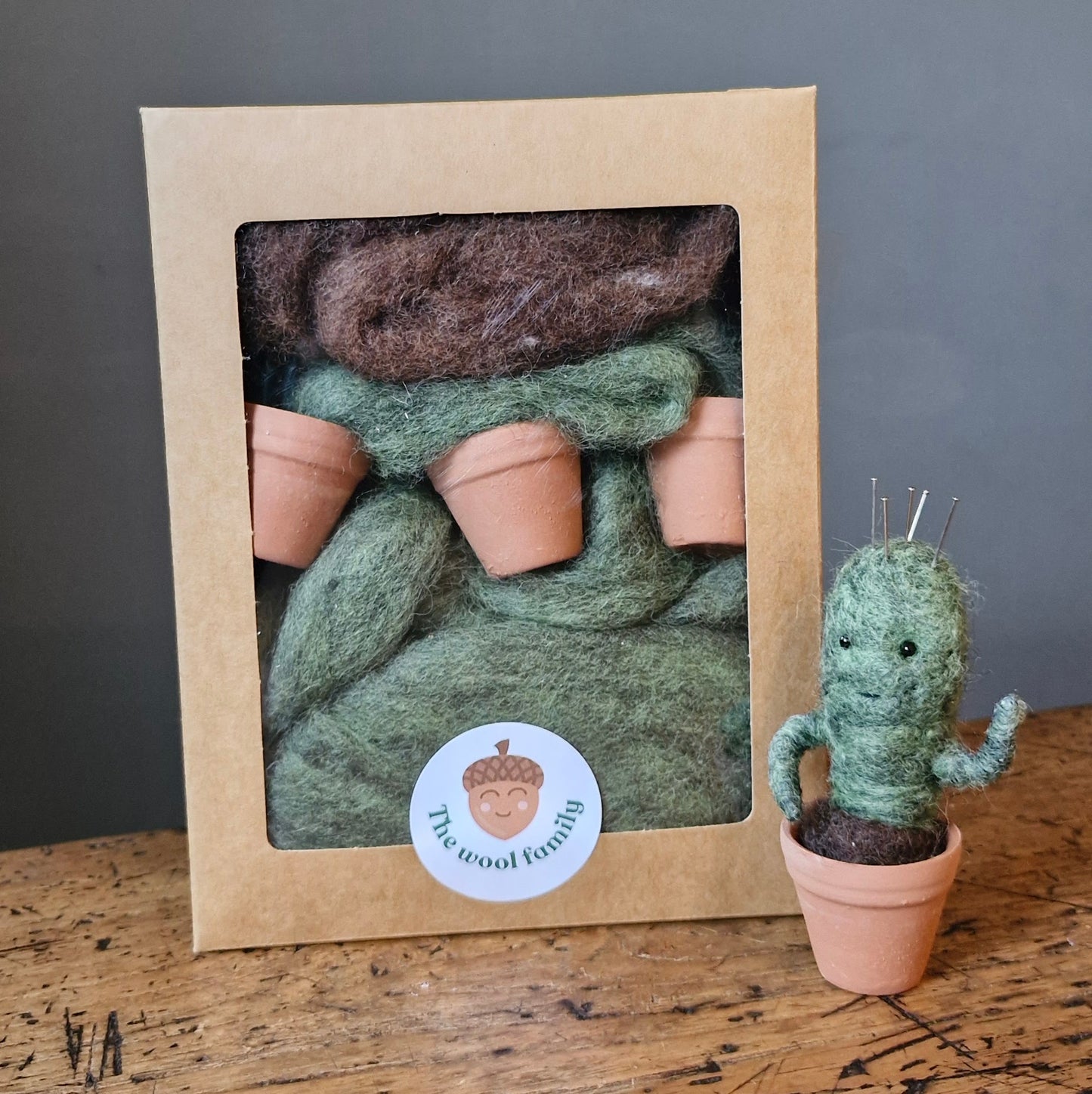 Mini Needle Felt Cactus supply pack  – Perfect for Beginners