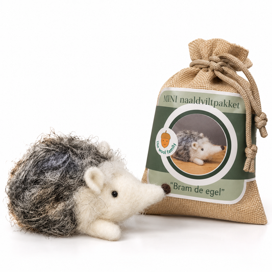 MINI needle felt kit Bram the hedgehog - Level 1