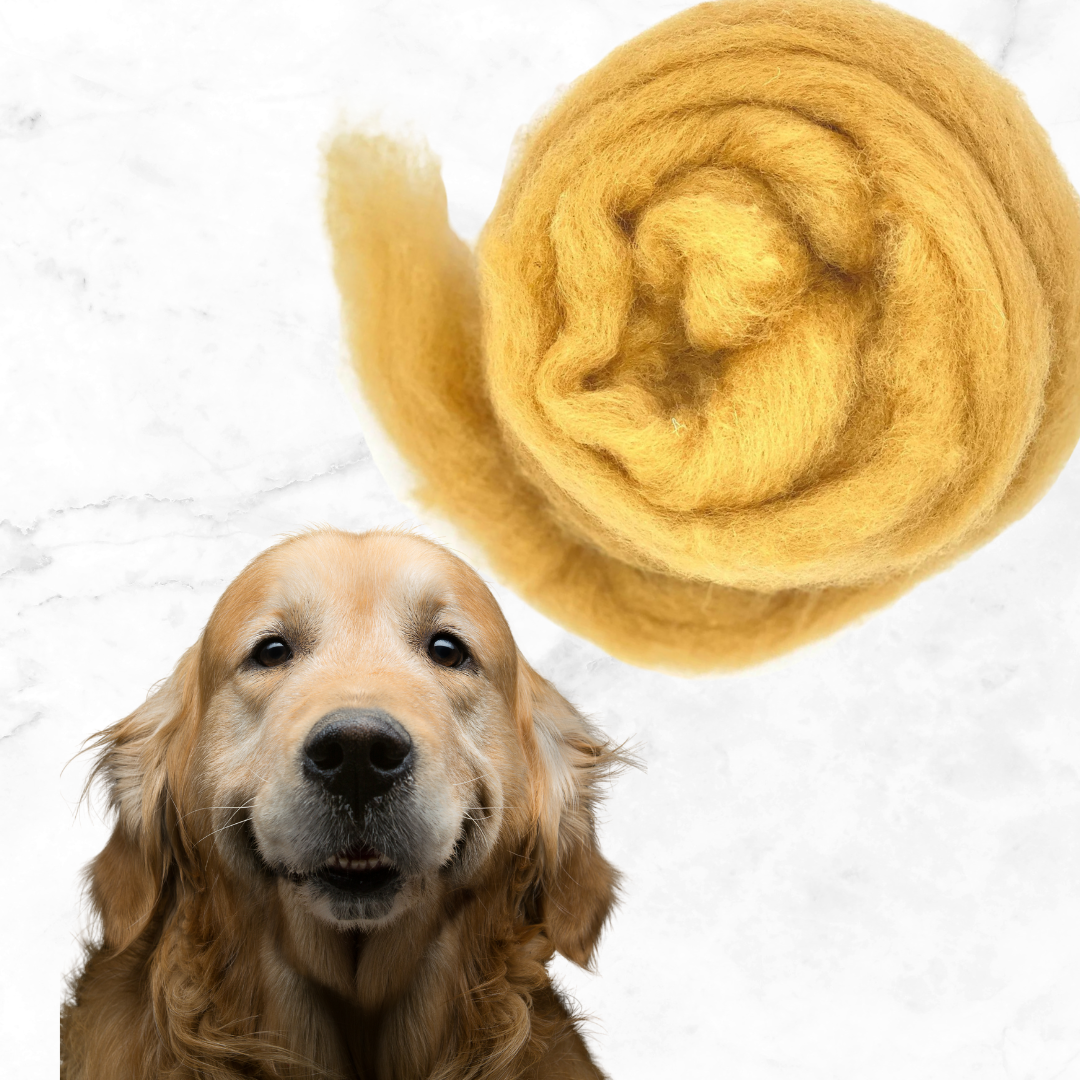 Corriedale carded wool Golden hound  - DOG COLLECTION - 25 gram