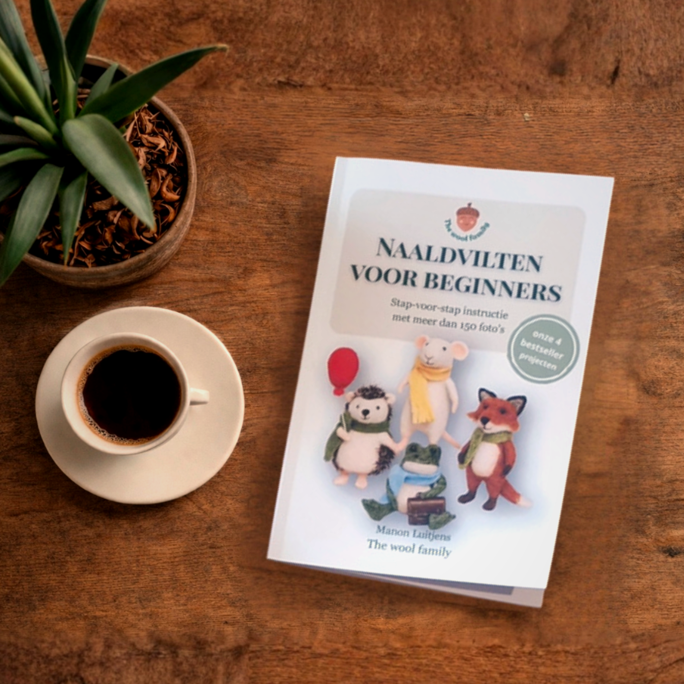 book needle felting for beginers