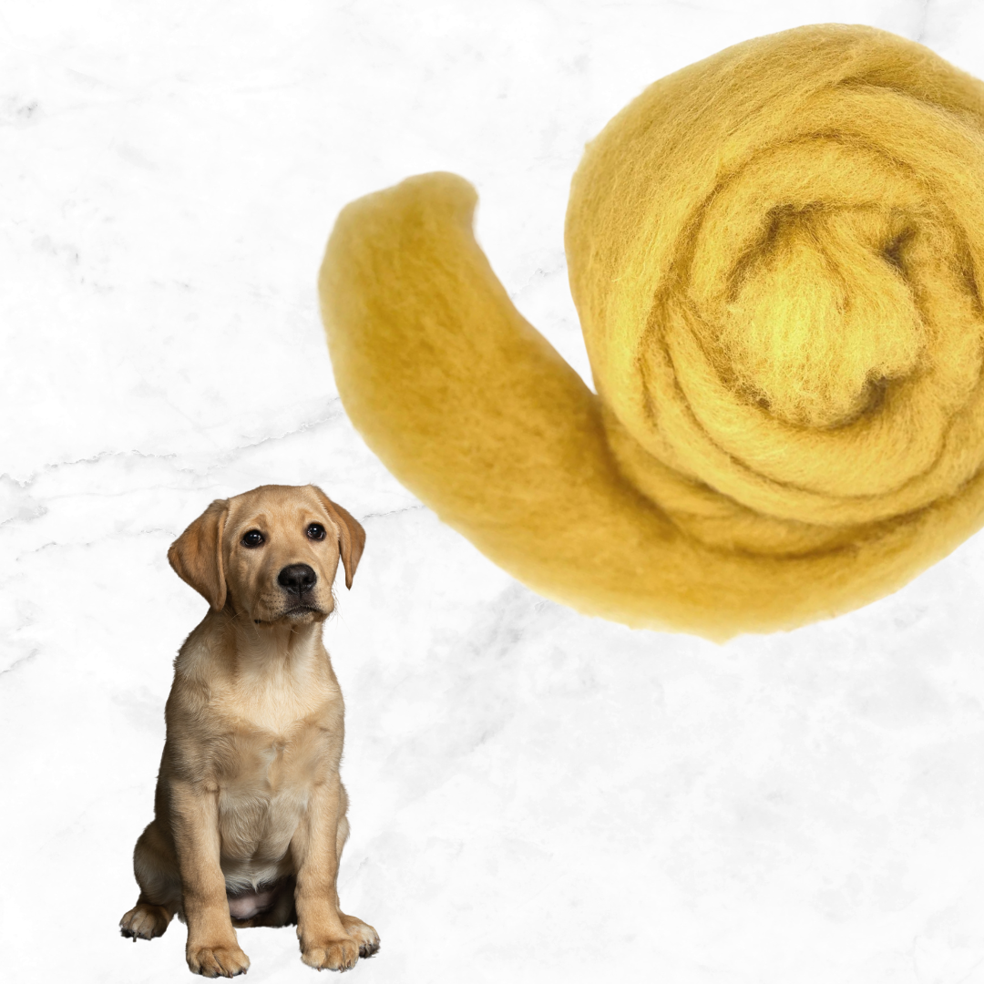 carded wool ginger pup