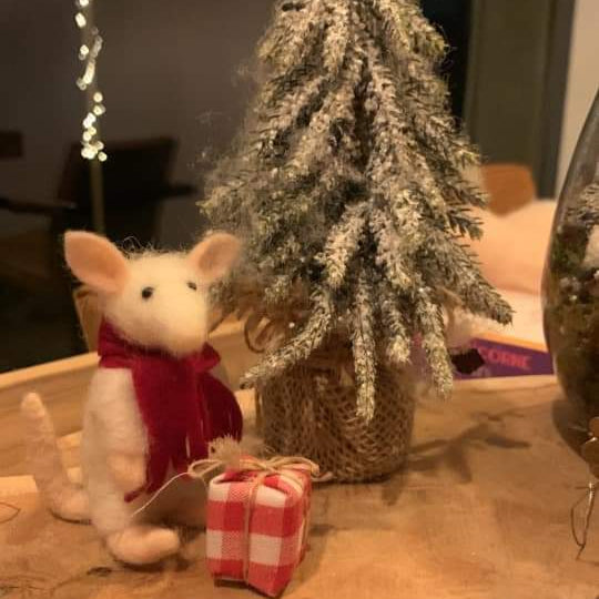 christmas mouse result