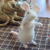 klant1 naaldviltpakket sunny klant foto