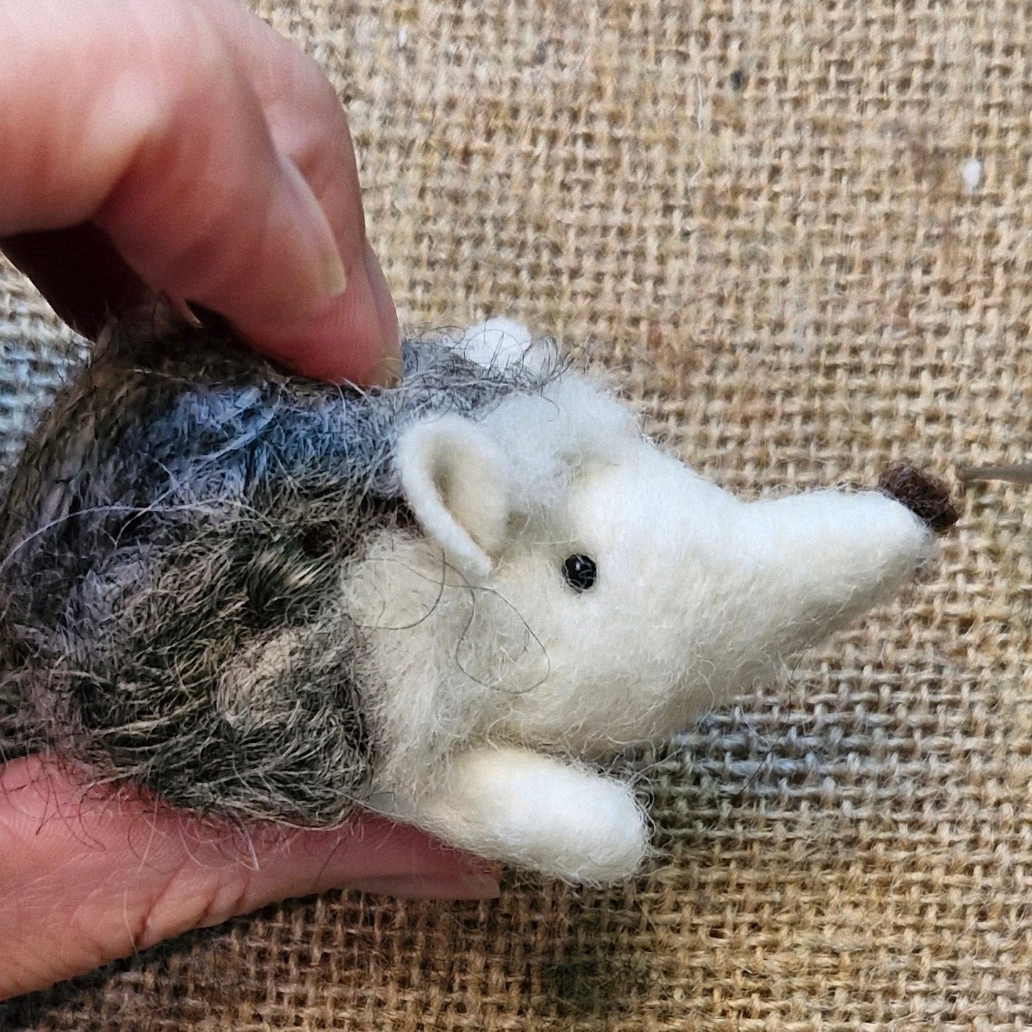 little hedgehog felt