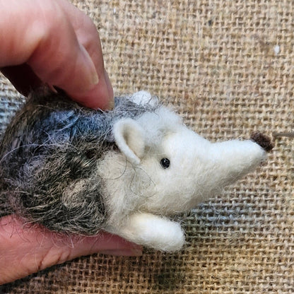 little hedgehog felt