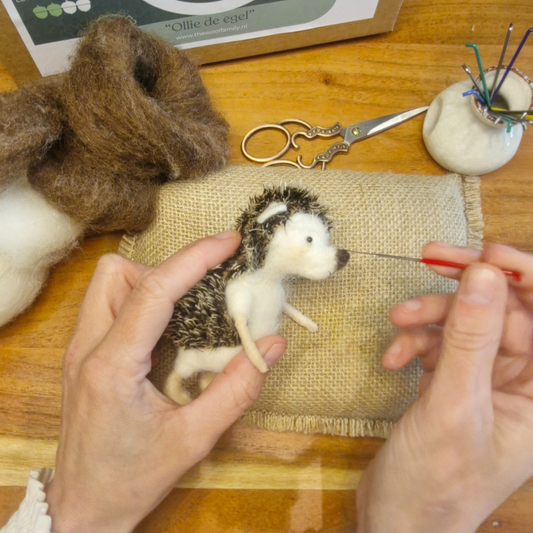 Ollie the Hedgehog  DIY Needle Felting Kit