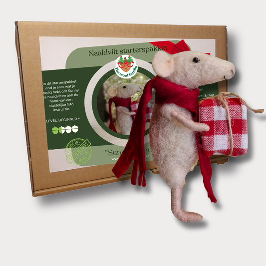 Christmas Needle felting kit for beginners Sunny the mouse