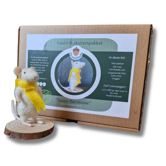 Needle felting kit for beginners Sunny the mouse