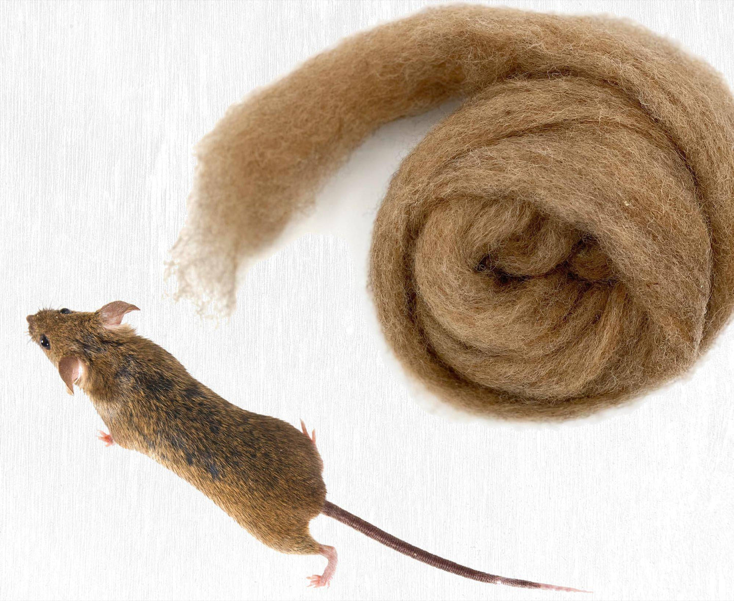 corriedale wool carded mouse